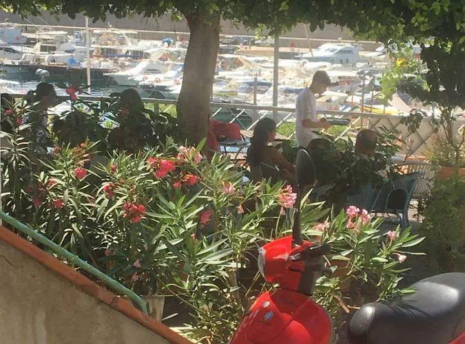 Pensión La Racia Maratea